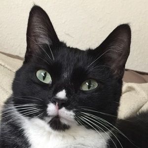 Meet your Posher, Amber